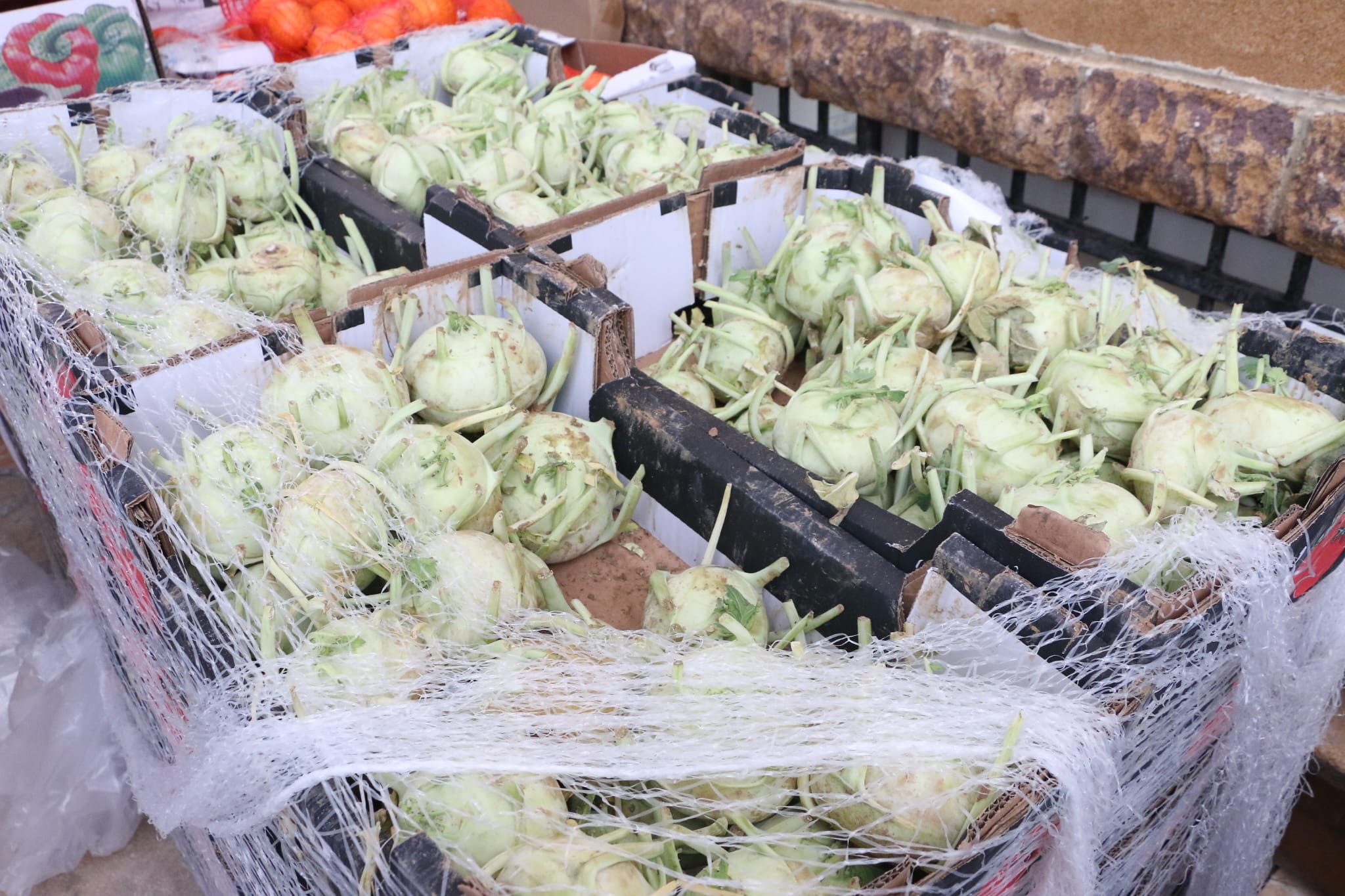 WhatsApp Image 2023-04-11 at 8.33.05 AM (2).jpeg